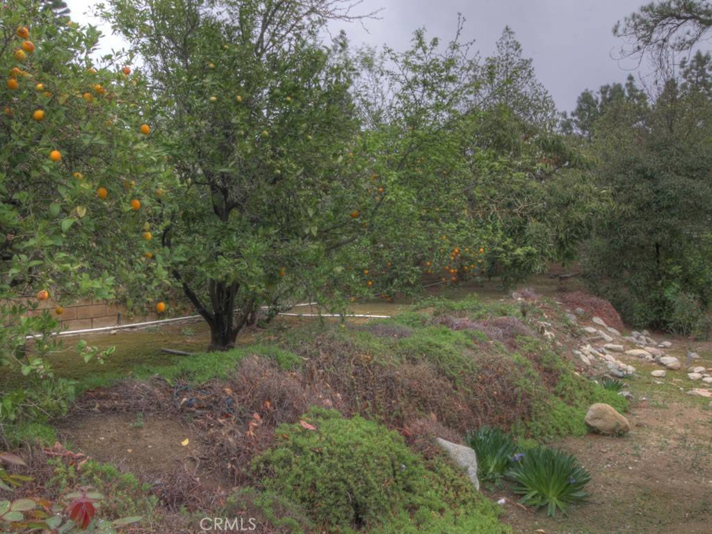 Upland, CA 91784,535 E 23rd ST
