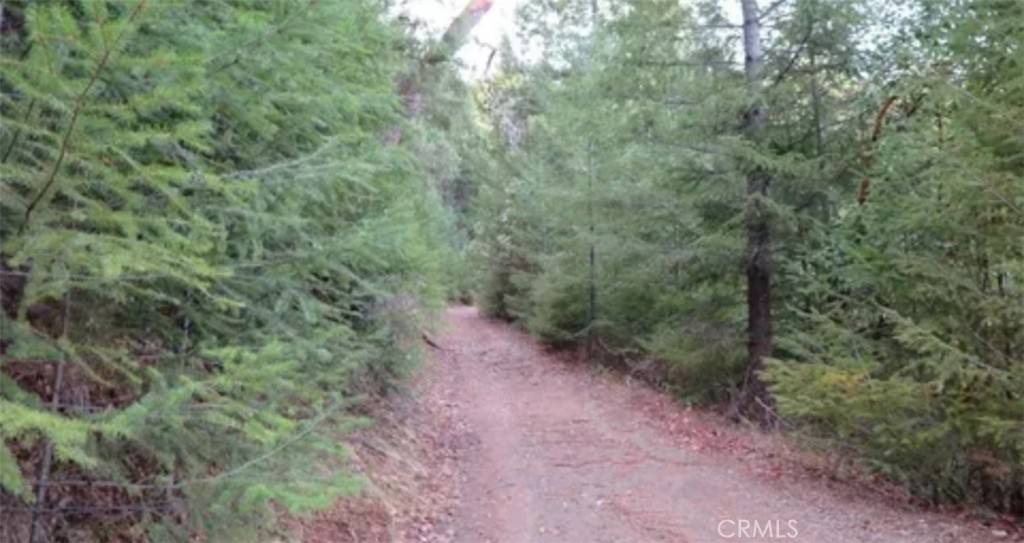 Covelo, CA 95428,34530 Etsel Ridge RD