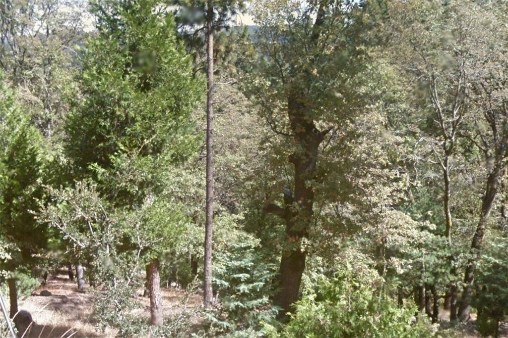 Cedarpines Park, CA 92322,40 Fir ST