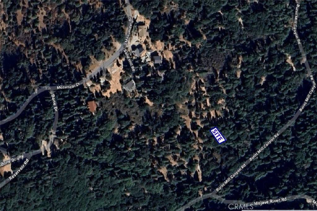 Cedarpines Park, CA 92322,59 Mojave River RD