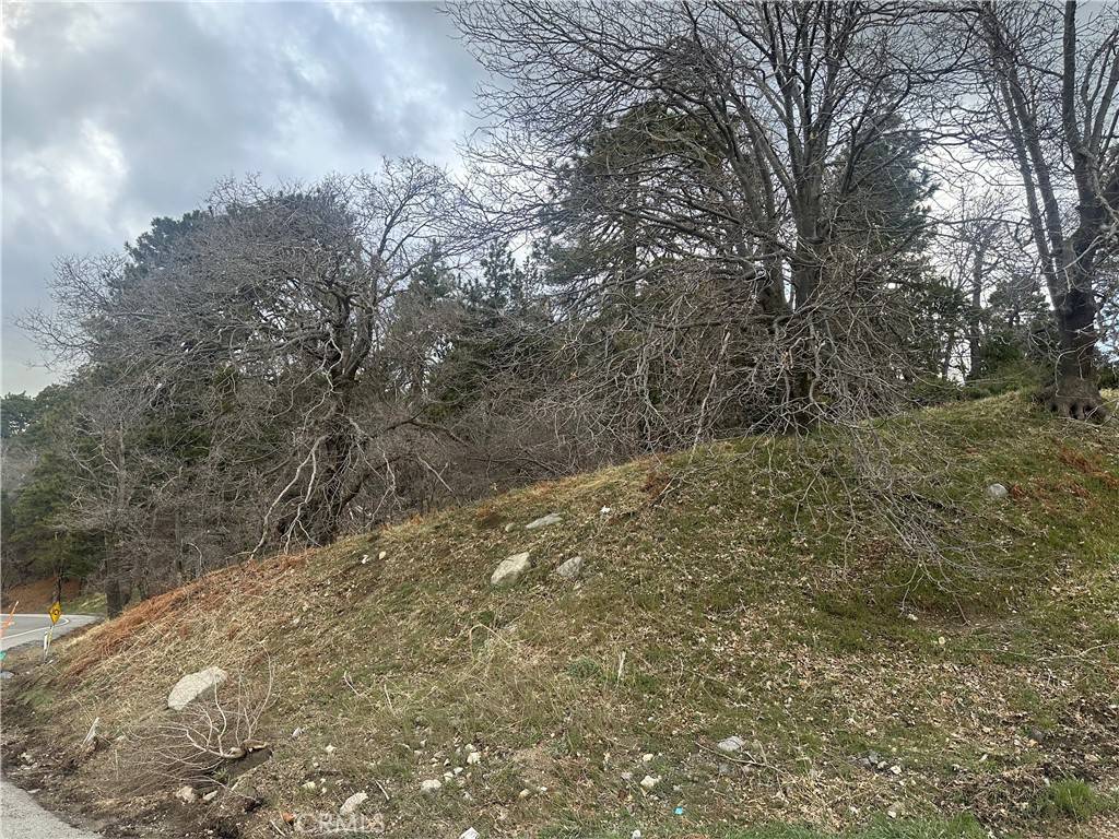 Cedar Glen, CA 92321,0 Torrey RD