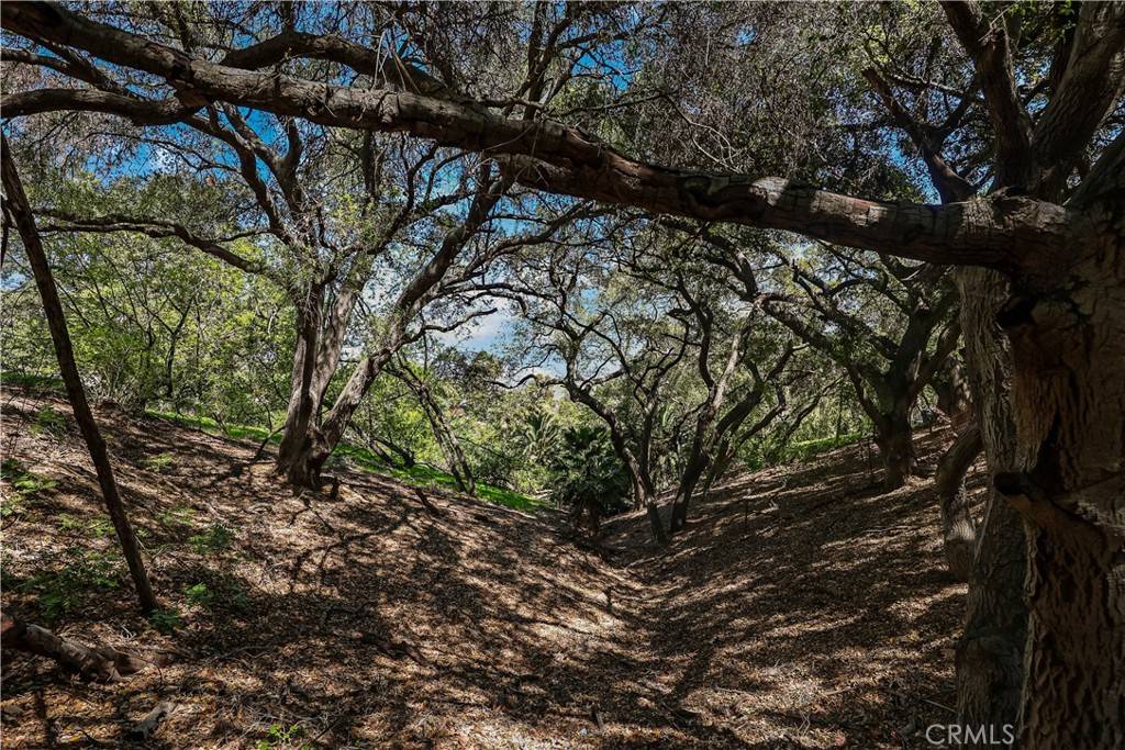 Chino Hills, CA 91709,2222 Carbon Canyon RD