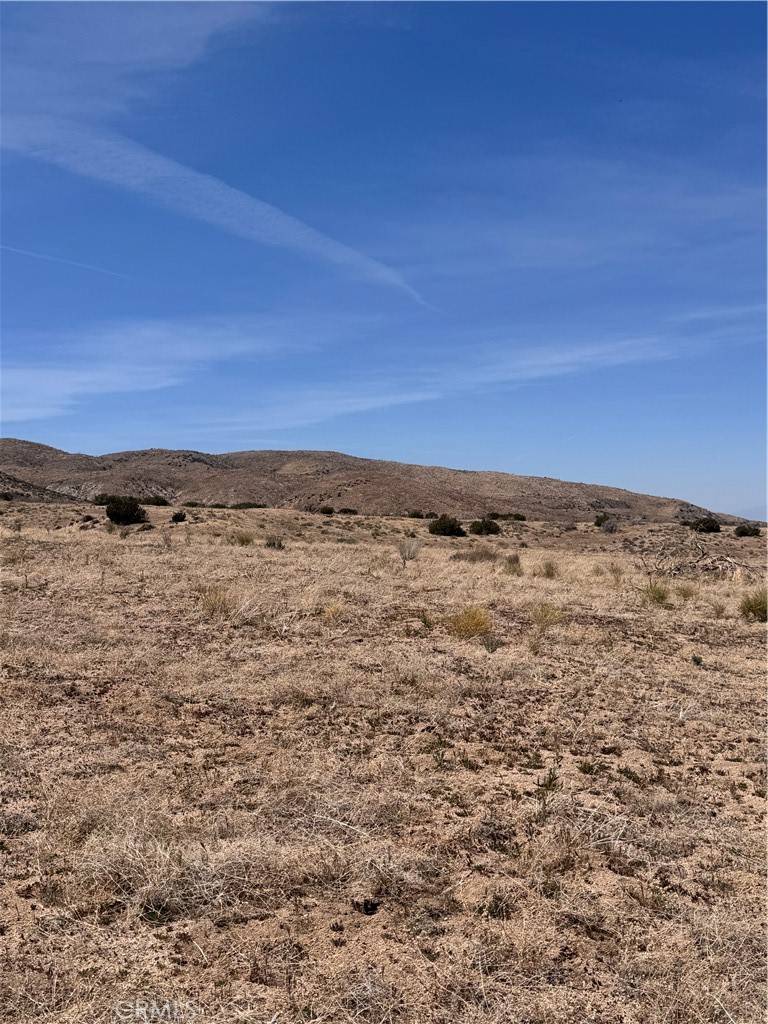 Littlerock, CA 93543,96 Y10 ST