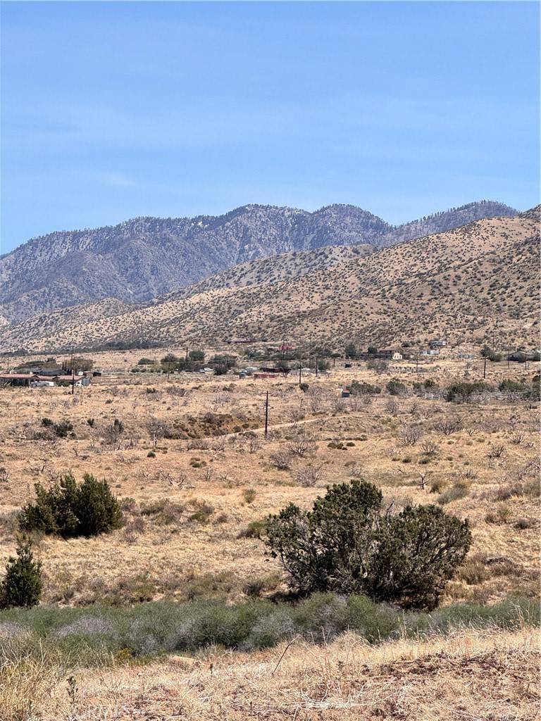 Littlerock, CA 93543,96 Y10 ST