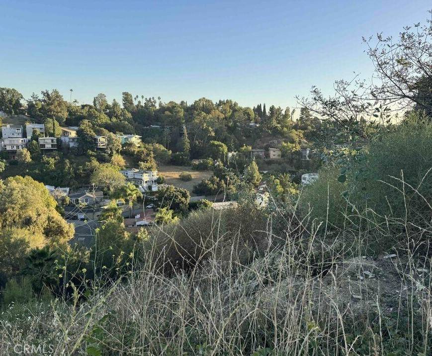 Montecito Heights, CA 90031,3952 Elderbank DR
