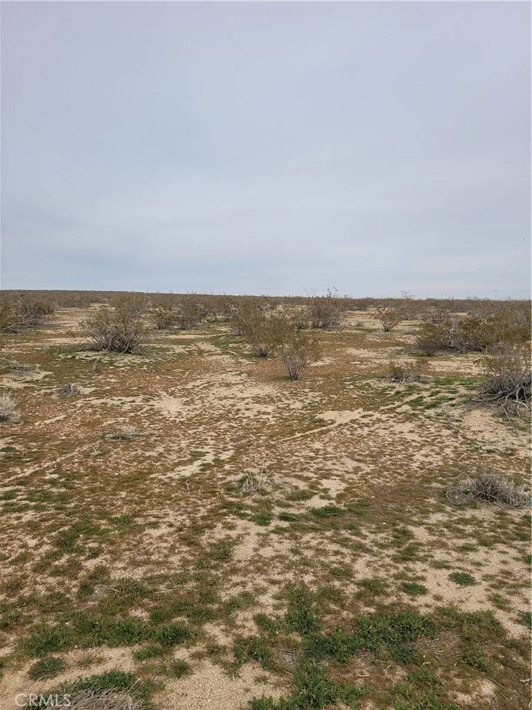 California City, CA 93505,0 San Carlos ST