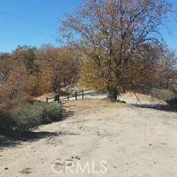 Cedar Glen, CA 92321,718 Cypress RD