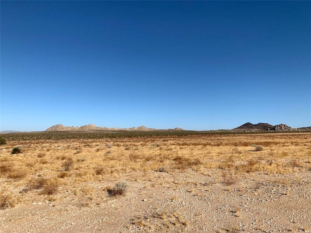 Lucerne Valley, CA 92356,0 looneyville