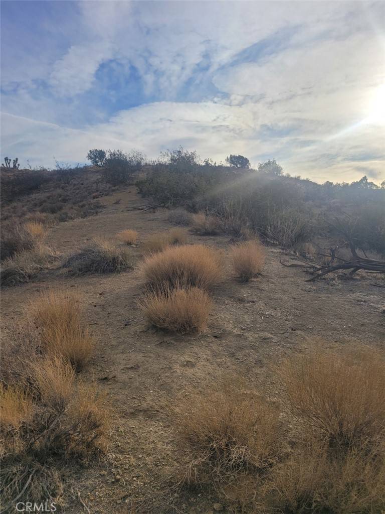 Palmdale, CA 93550,0 Vac/Ca Aqueduct/Pearblossom