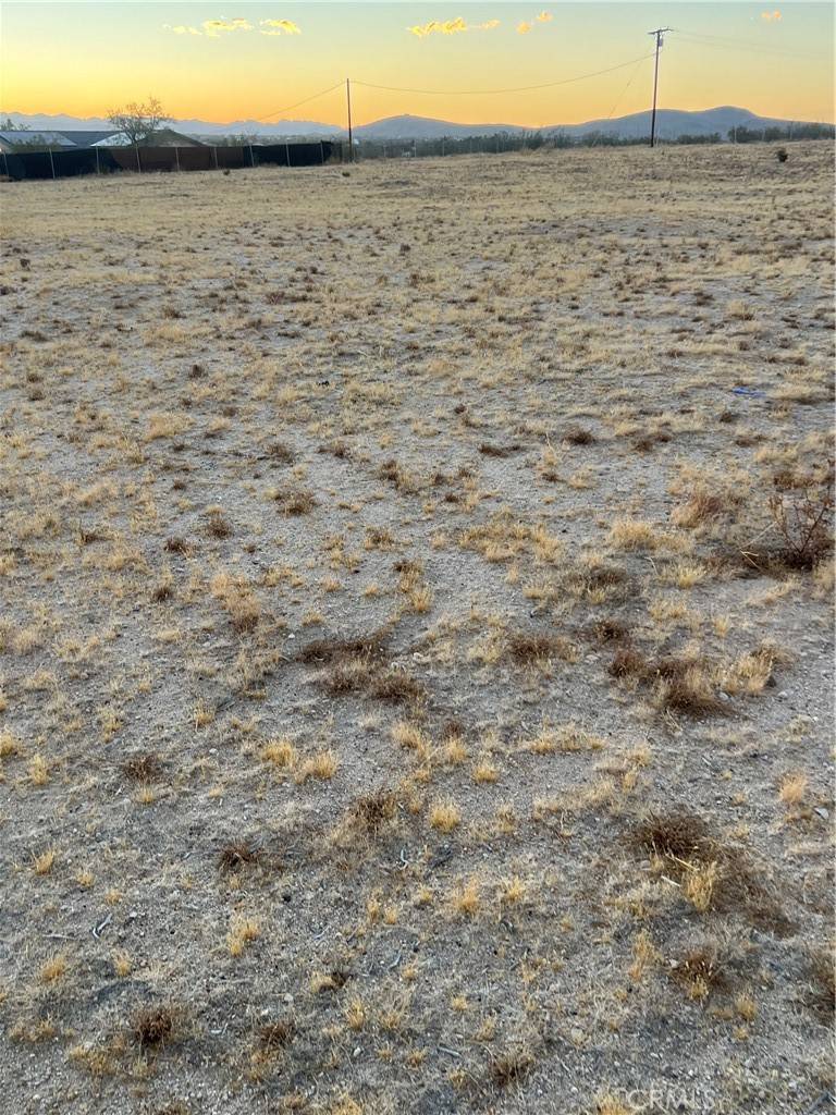 Joshua Tree, CA 92252,0 Sunny Hill RD