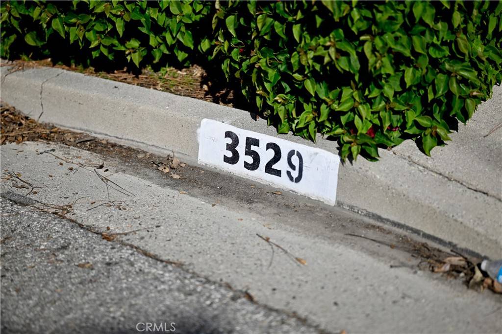 Altadena, CA 91001,3529 Loma View DR