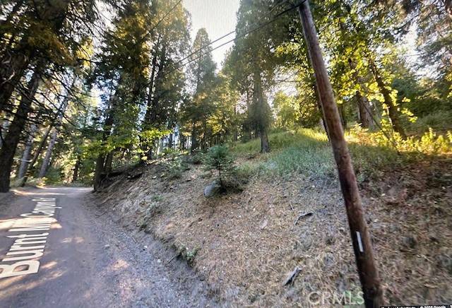 Cedarpines Park, CA 92322,0 Burnt Mill Canyon #20 RD