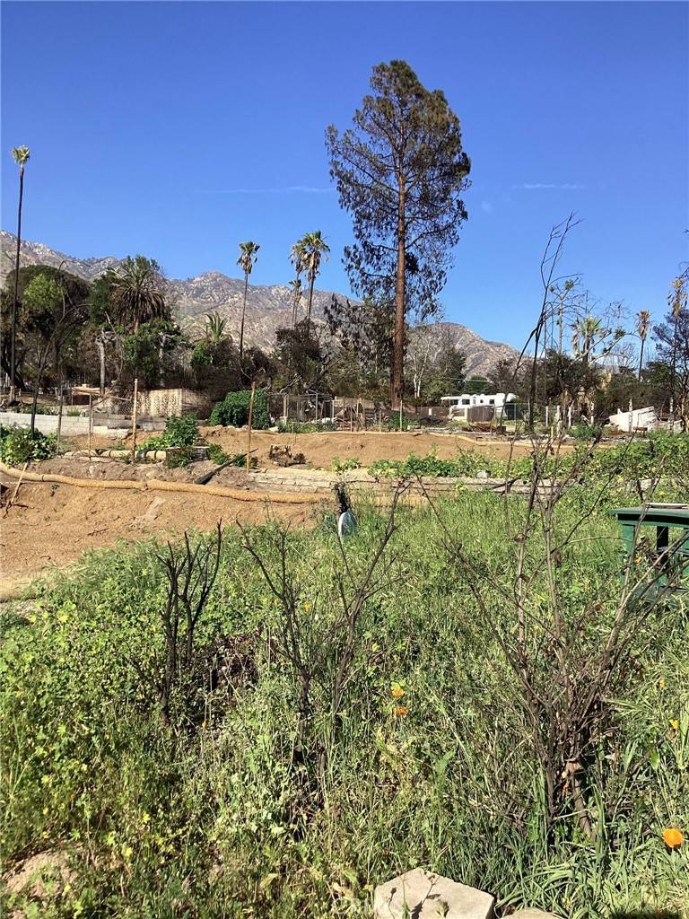 Altadena, CA 91001,305 W Las Flores DR