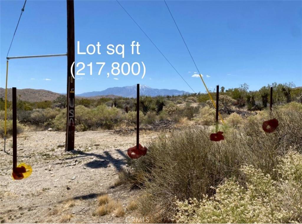 Morongo Valley, CA 92256,51371 Cheyenne TRL