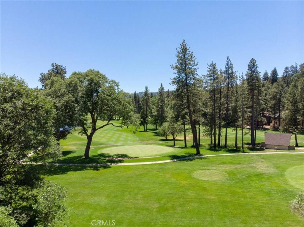 Lake Arrowhead, CA 92352,749 Brentwood DR