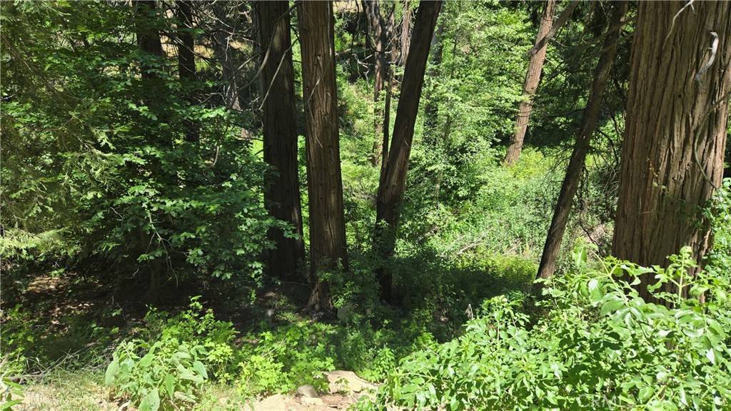 Cedarpines Park, CA 92322,0 Burnt Mill Canyon Rd