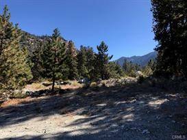 Forest Falls, CA 92339,0 Island DR