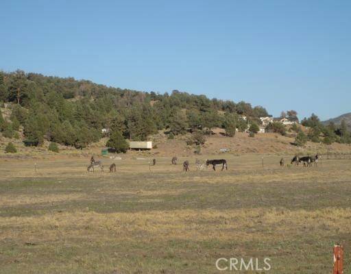 Big Bear, CA 92314,2151 Erwin Ranch RD