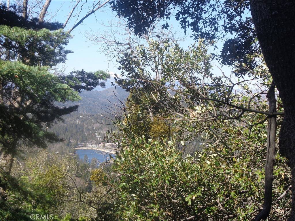 Crestline, CA 92325,72 Lot Chillon