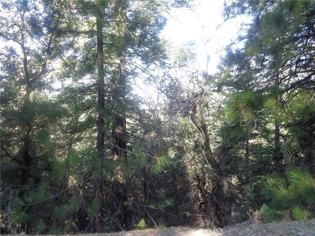 Crestline, CA 92325,72 Lot Chillon