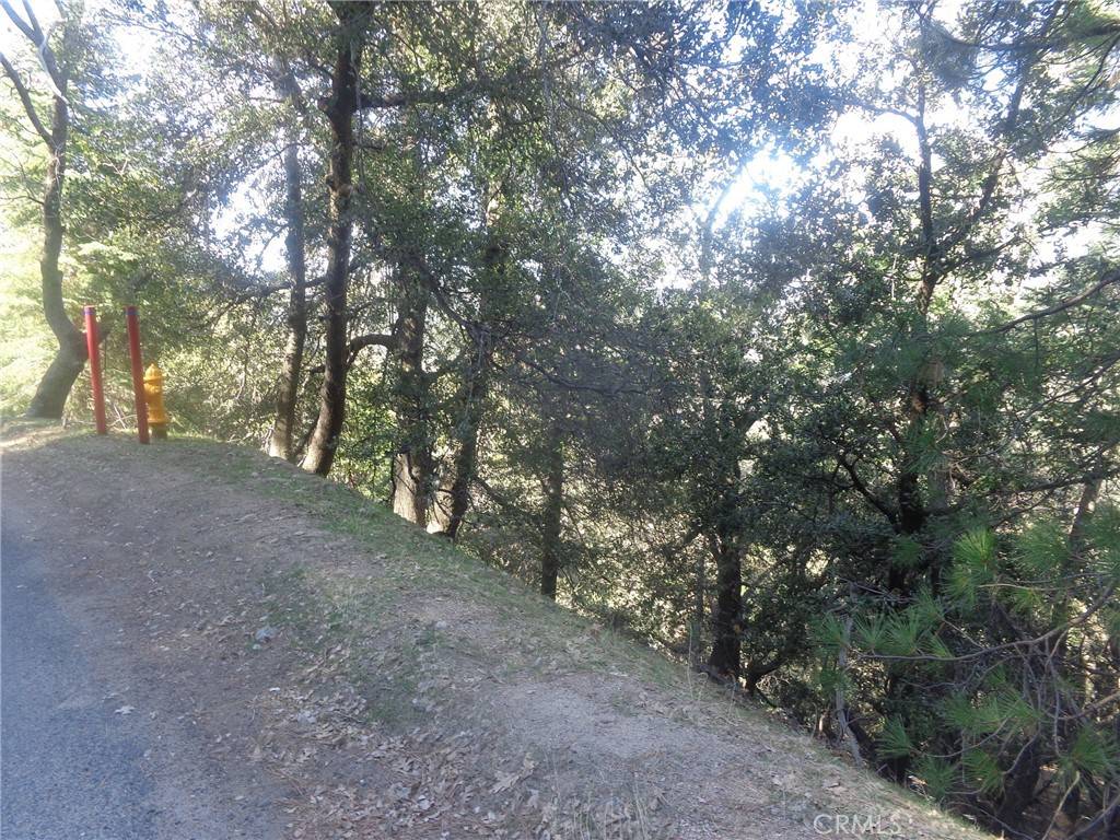 Crestline, CA 92325,72 Lot Chillon