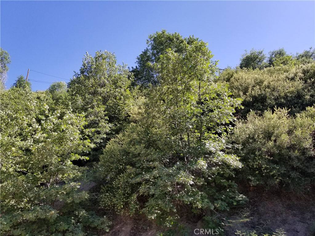 Cedar Glen, CA 92321,0 Elder DR