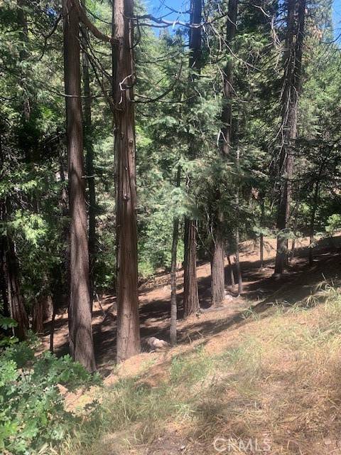 Lake Arrowhead, CA 92352,0 State Hwy 189