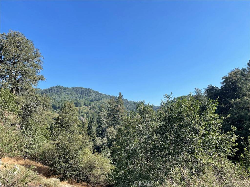 Cedar Glen, CA 92321,0 Oakhurst DR