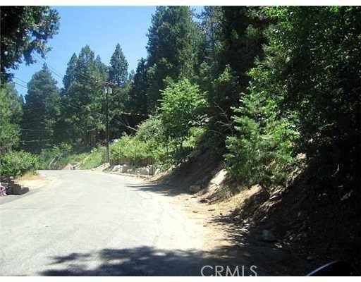 Twin Peaks, CA 92352,0 Strawberry Peak RD