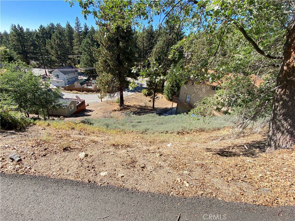 Green Valley Lake, CA 92341,0 Falling Leaf