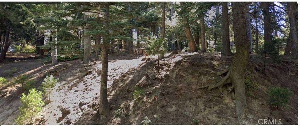 Crest Park, CA 92352,0 Burnt Mill RD