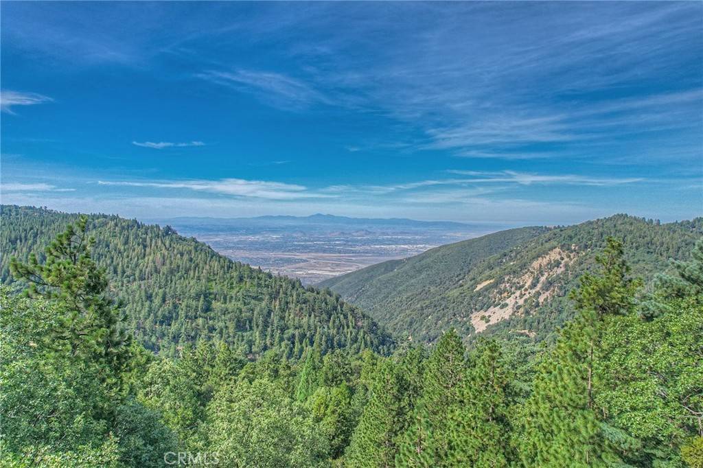 Cedarpines Park, CA 92322,31 Peak CIR