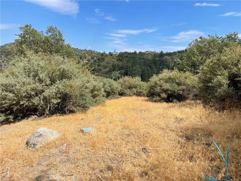 Cedar Glen, CA 92321,671 Hill LN