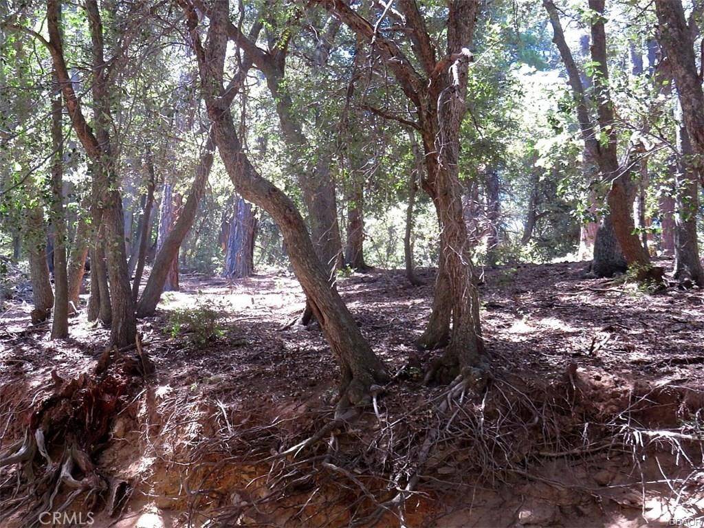 Cedarpines Park, CA 92322,34 Mojave River RD