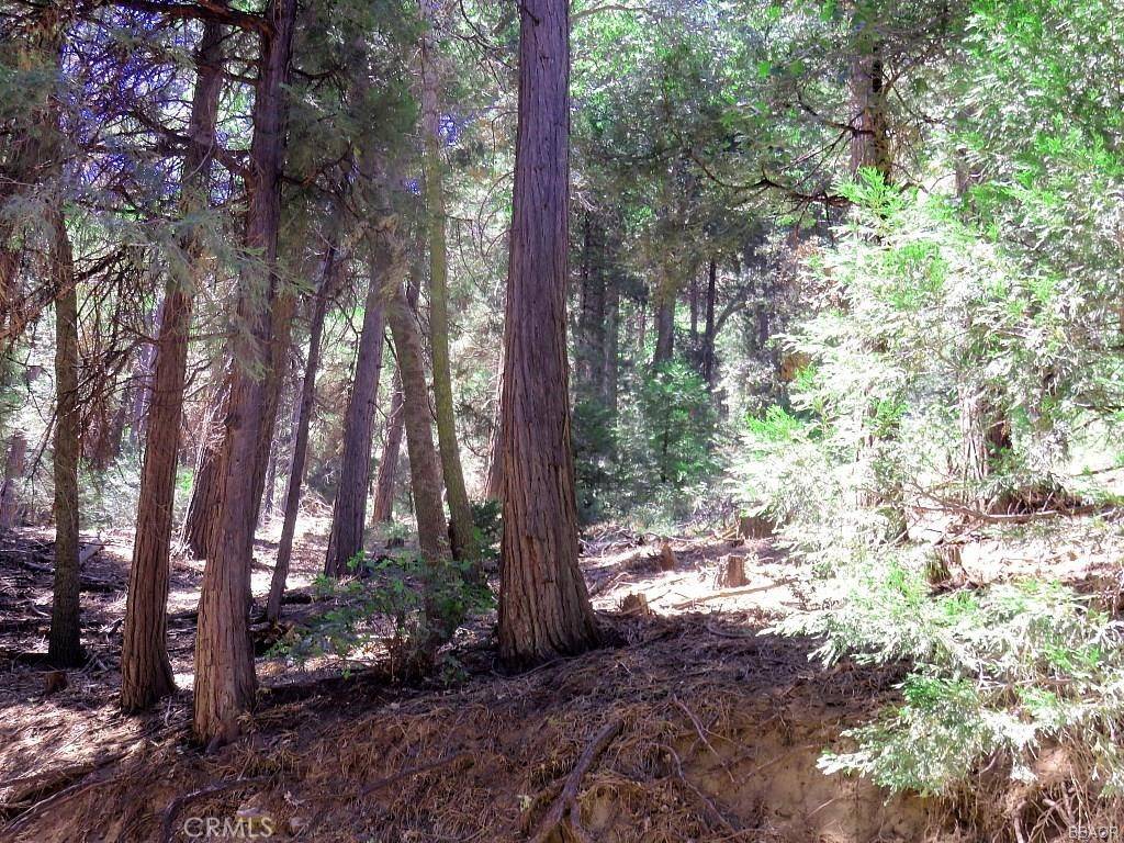 Cedarpines Park, CA 92322,8 Mojave River RD