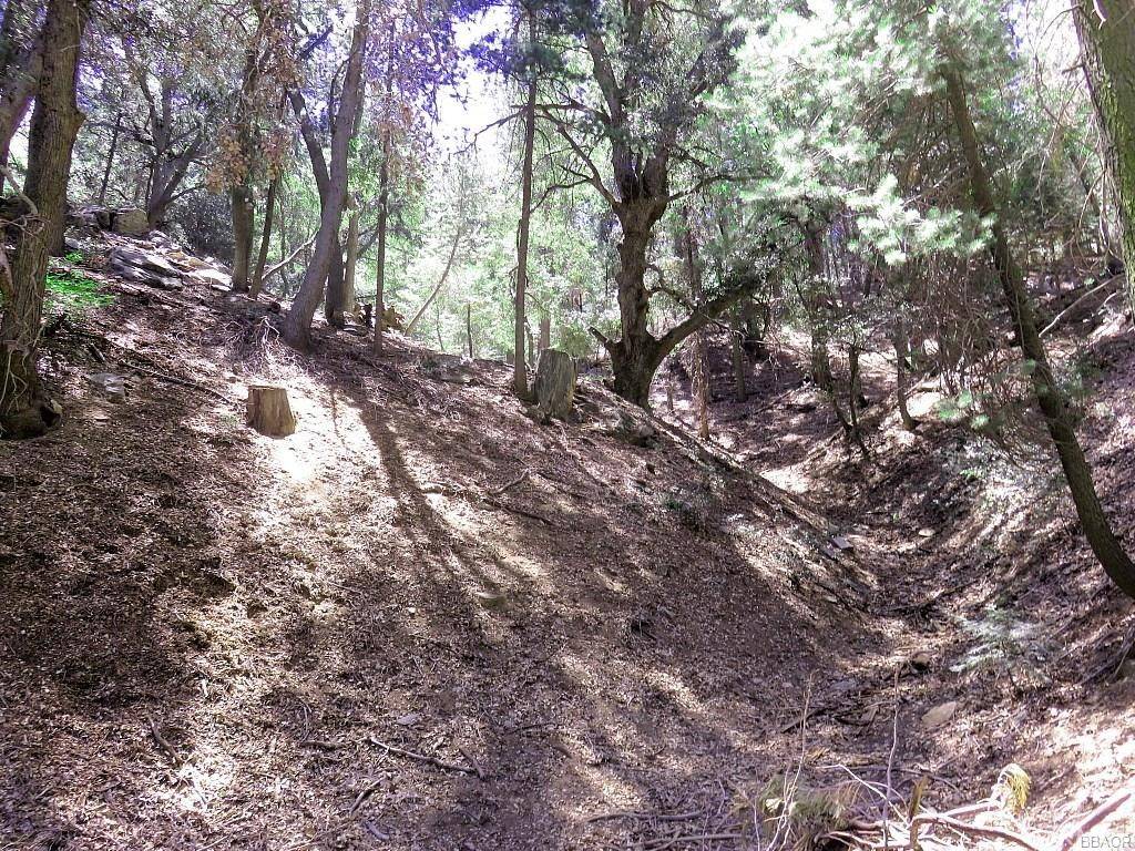 Cedarpines Park, CA 92322,8 Mojave River RD