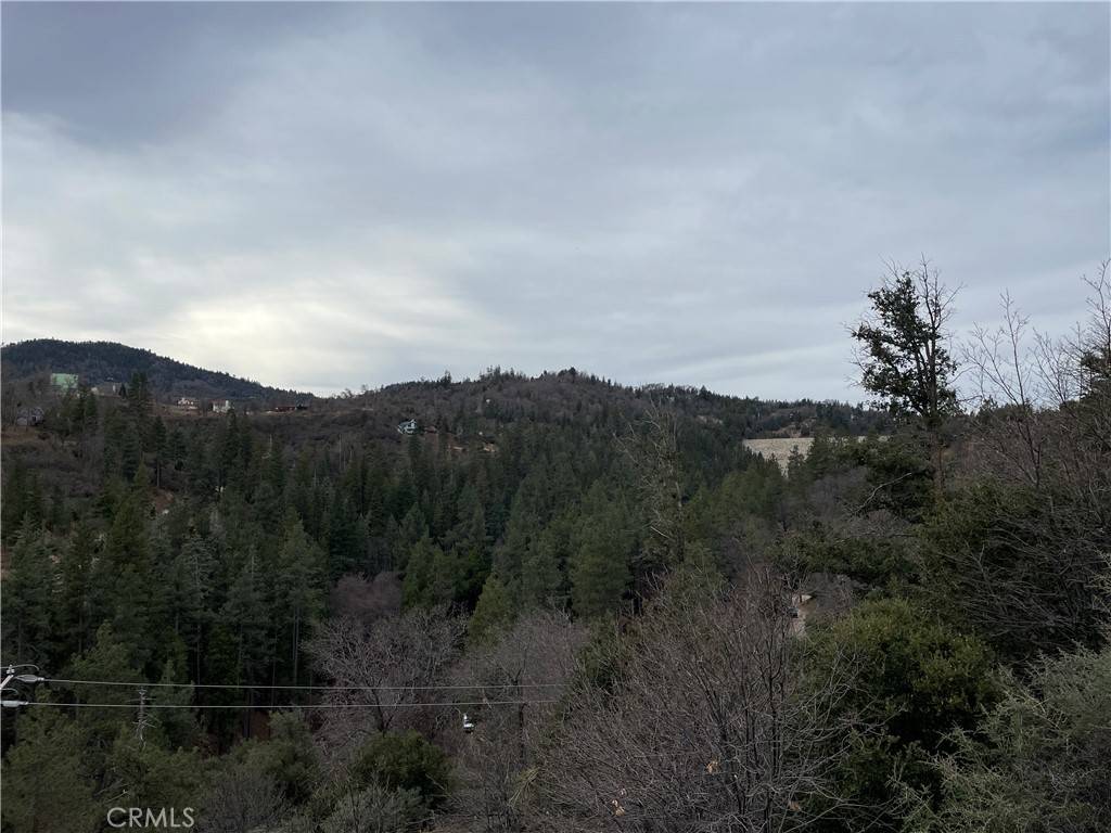 Cedar Glen, CA 92321,29608 Torrey RD