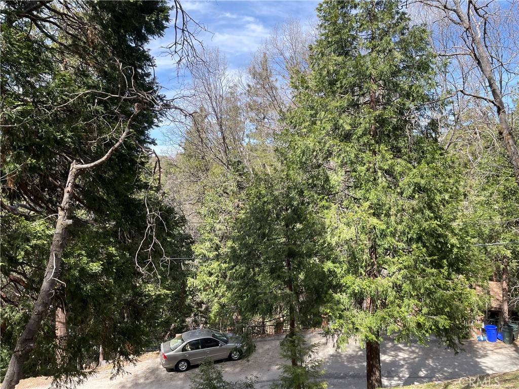 Crestline, CA 92325,14 Lot 14 Edelweiss DR