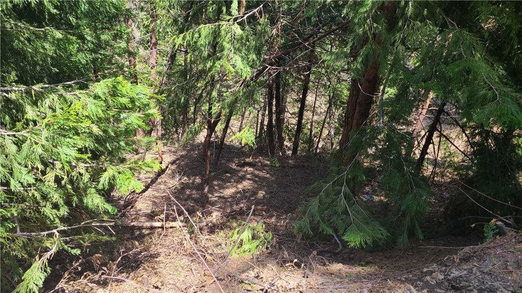 Cedar Glen, CA 92321,29186 Arrowhead DR