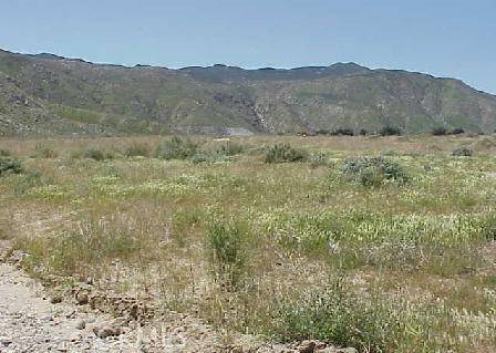 Cabazon, CA 92230,0 Almond
