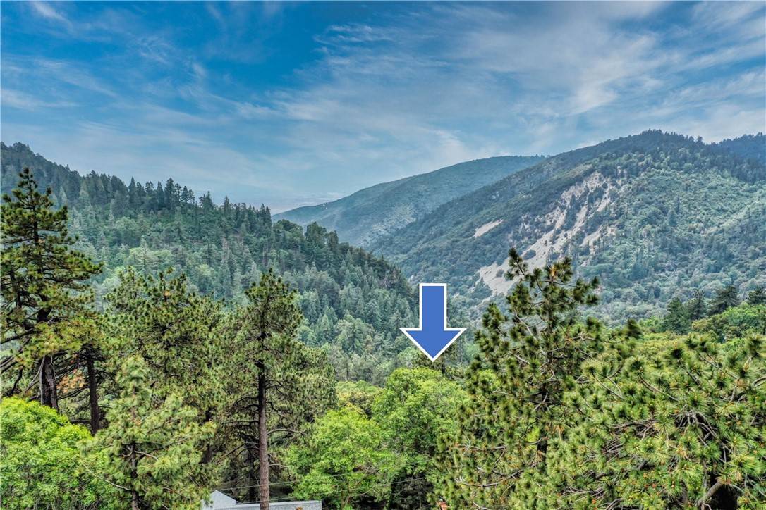 Cedarpines Park, CA 92322,3 Lot 3 W Buckthorn DR W