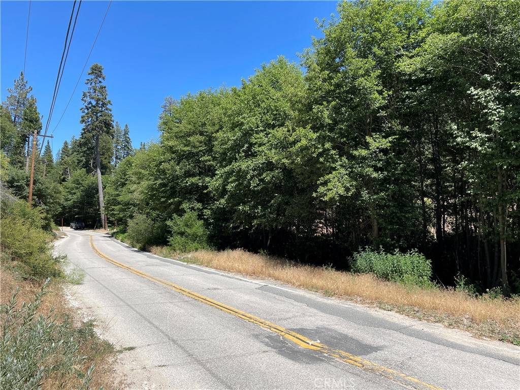 Cedar Glen, CA 92321,22 Lot 22A Hook Creek RD