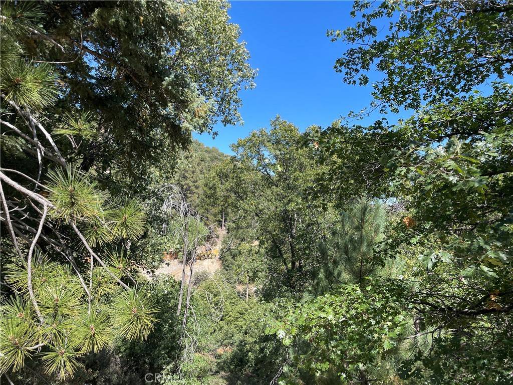 Cedar Glen, CA 92321,53 Lot 53 Maple DR