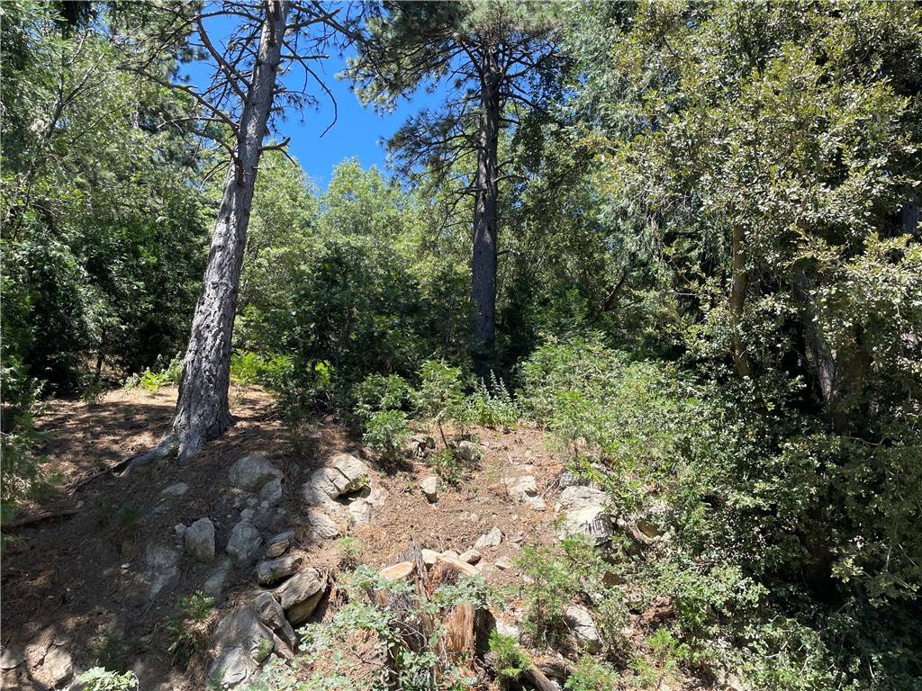 Cedarpines Park, CA 92322,16 Lot 16 Sawpit Canyon RD