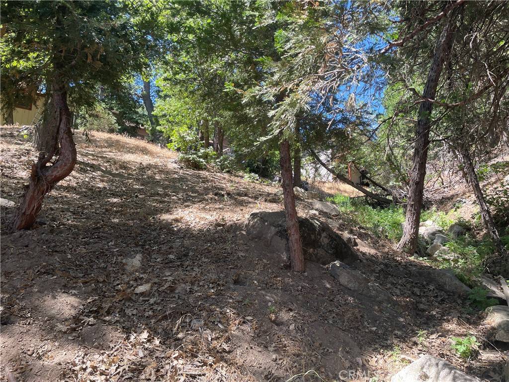 Rimforest, CA 92378,45 Lot 45 Scenic WAY