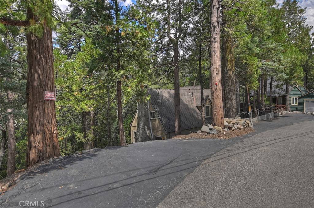 Lake Arrowhead, CA 92352,345 Dolly Varden DR