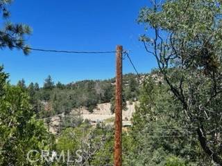 Arrowbear, CA 92382,32853 Deer Lick LN