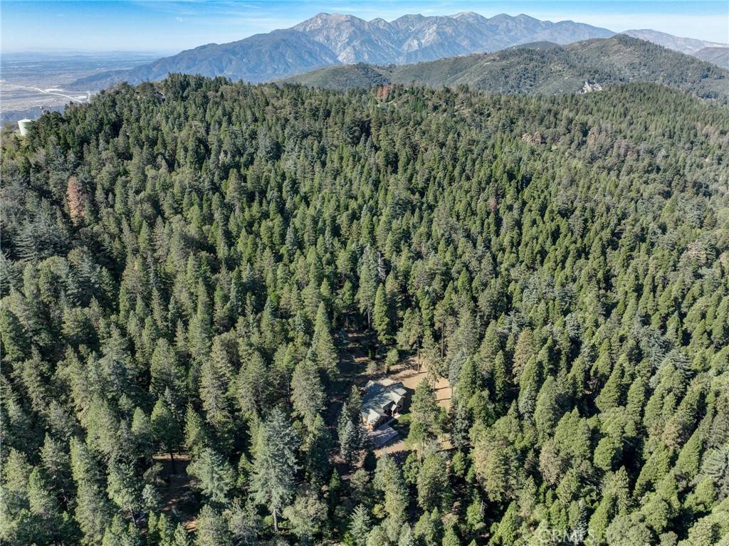 Cedarpines Park, CA 92322,22307 Crest Forest DR