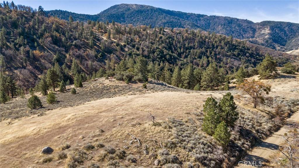 Tehachapi, CA 92356,0 Alpine Forest Park