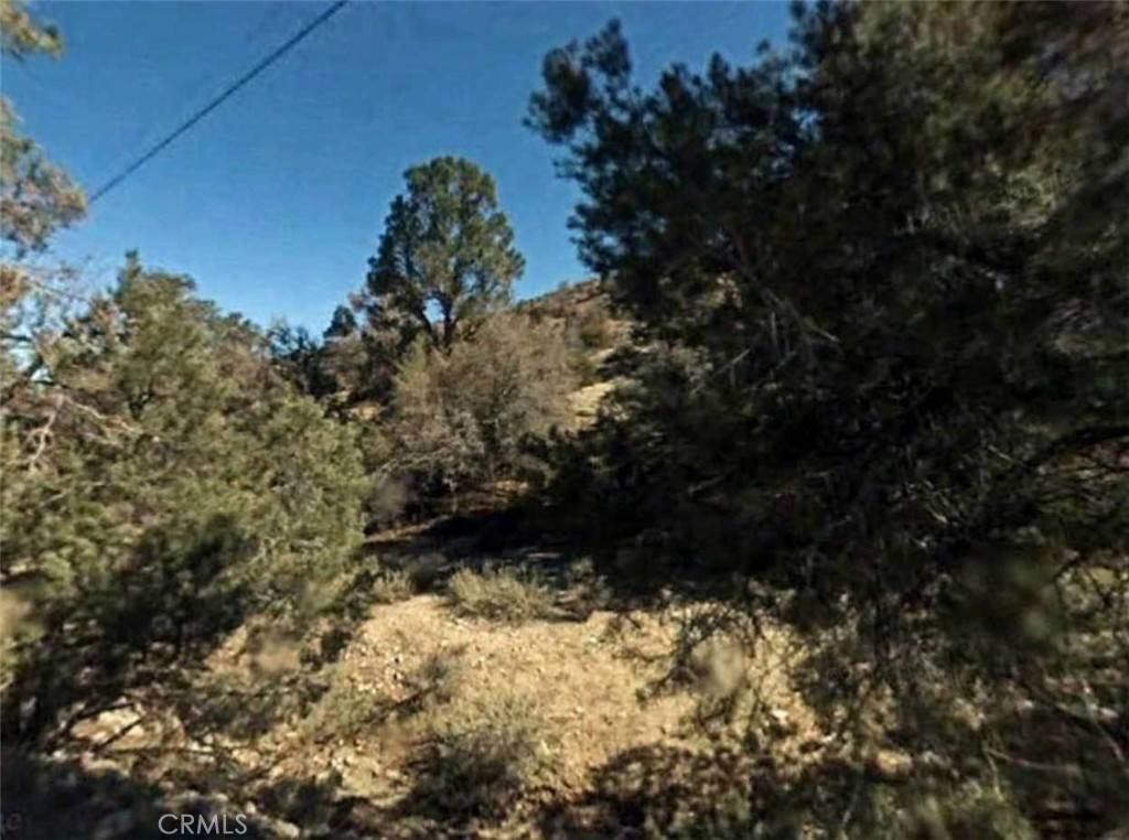 Big Bear, CA 92314,0 Lot 59 Avenue E